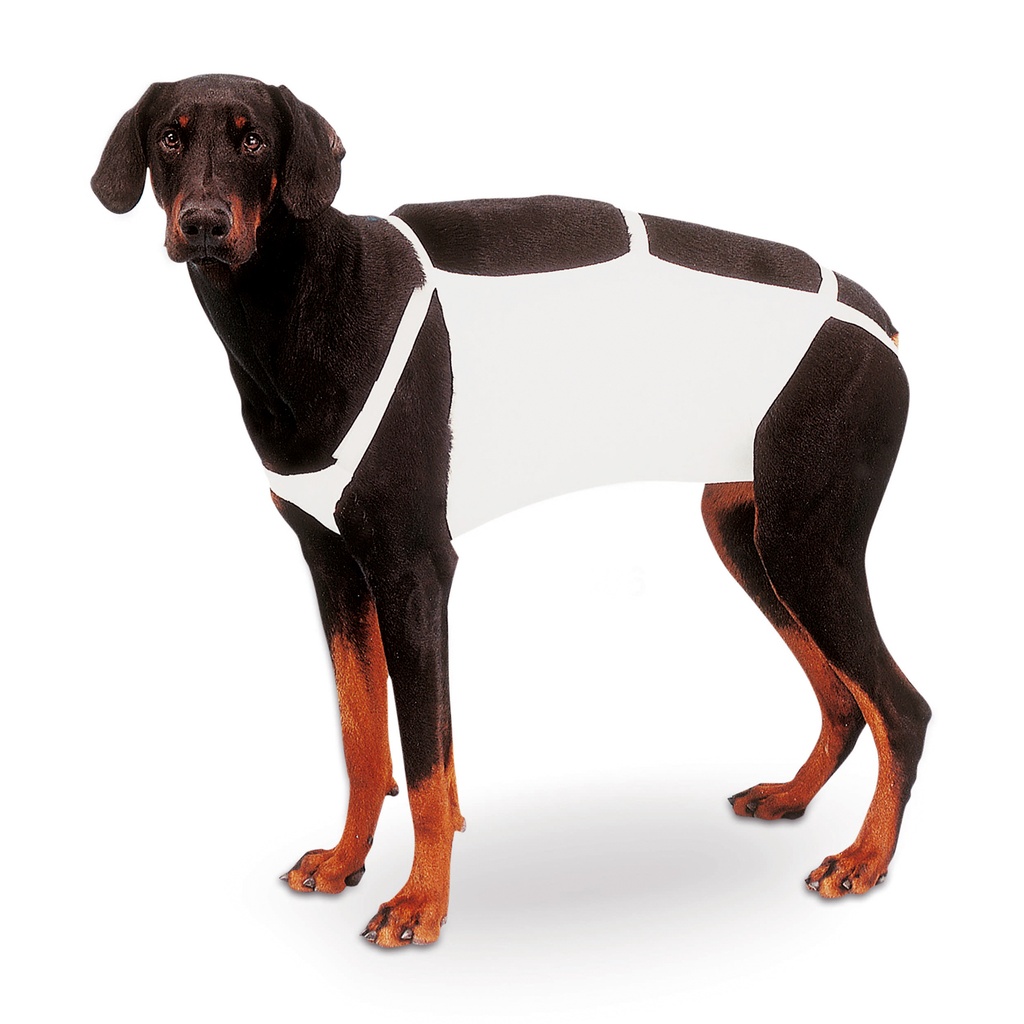 Lauschner hasi kötés, 6-os méret – pl. dán dogoknak