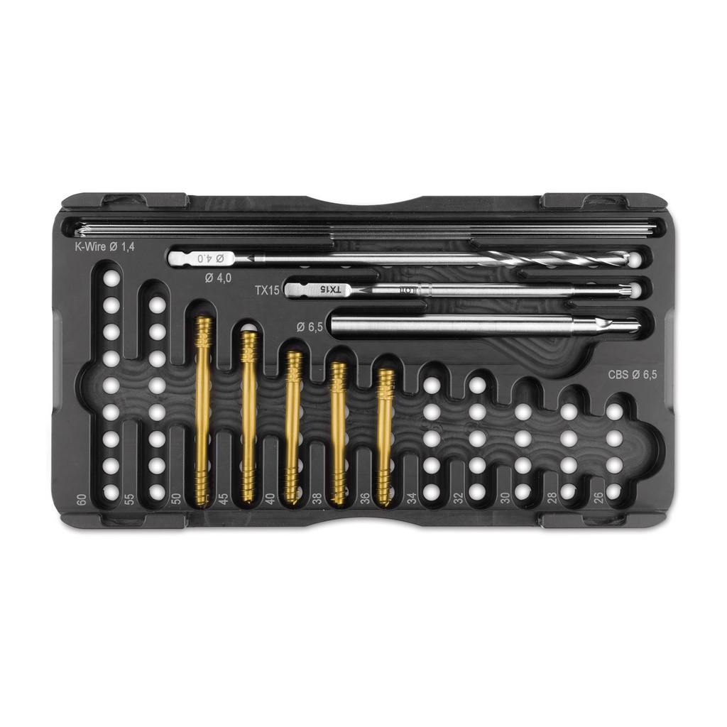 CBS 6.5 csavarkészlet nagy testű kutyák számára, tartalma: 5 db csavar (36–50 mm hosszúságban), 1 db spirálfúró Ø4,0 mm és 1 db Torx 15 csavarhúzó fej