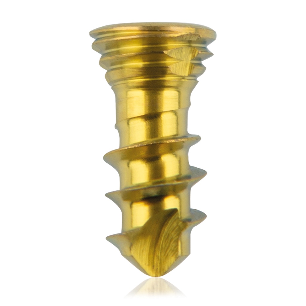 Titán zárócsavar Ø 2,3 × 6 mm, szögstabil, többirányú, arany, Torx 6, önfúró, önmetsző