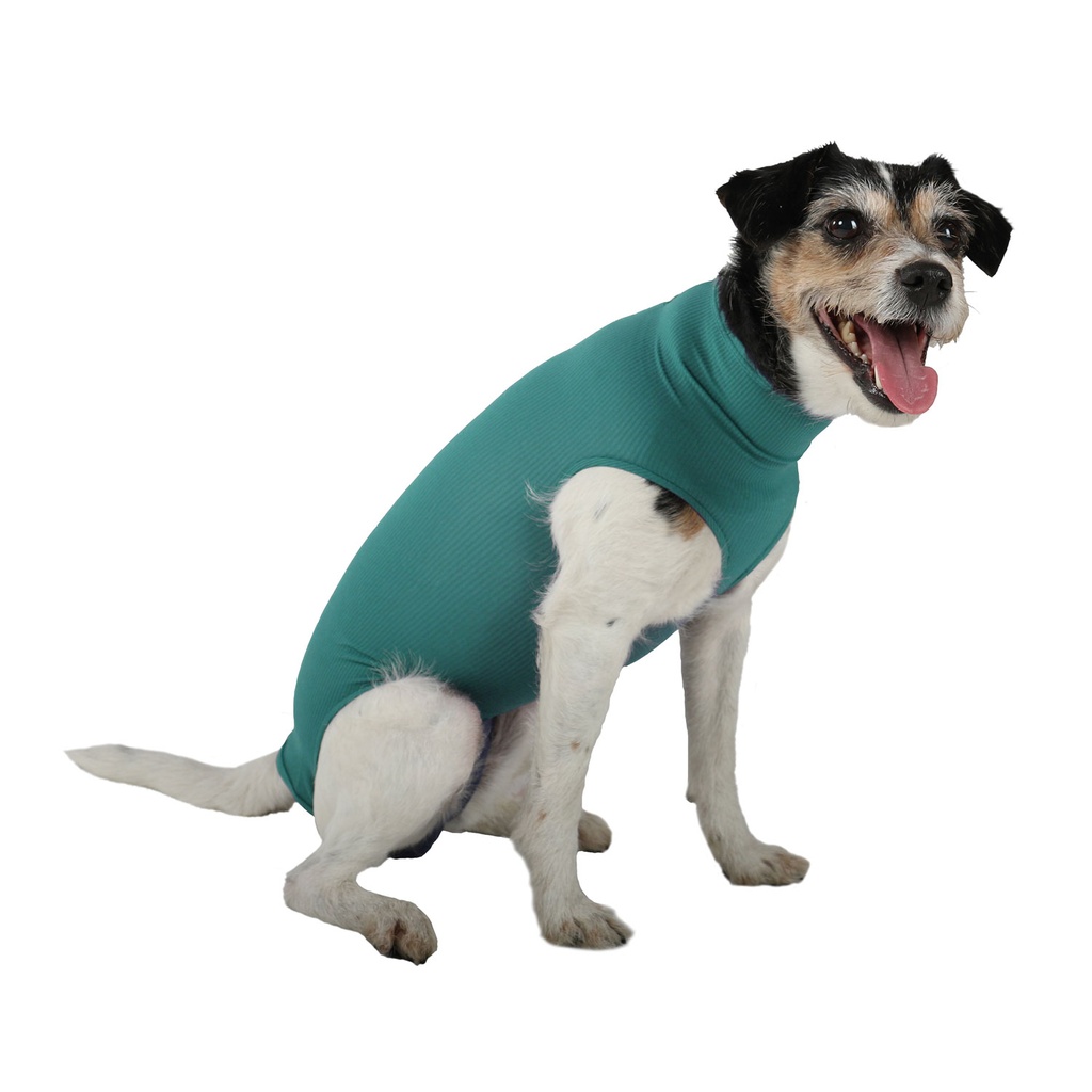 VetMedCare kutyaruha, basic, M méret, kanoknak