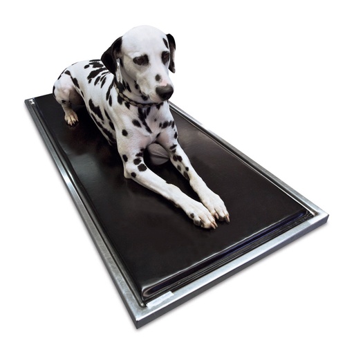 [602286] Kezelőasztalhoz való matrac, 2-es méret, 1250 x 555 x 20 mm, 1300 x 600 mm-es asztallaphoz megfelelő