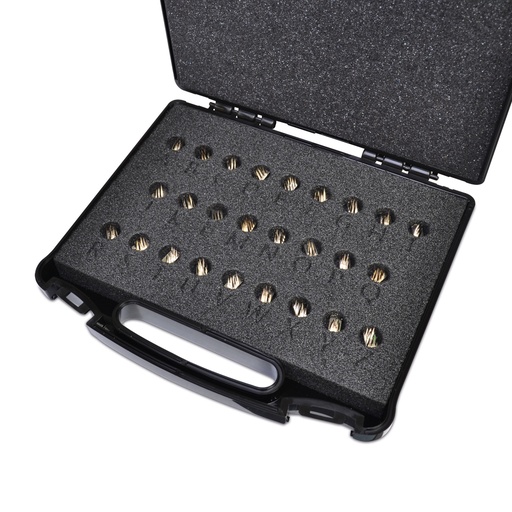 [900055] Tetováló betűkészlet, 5 mm, Hauptner fogóhoz