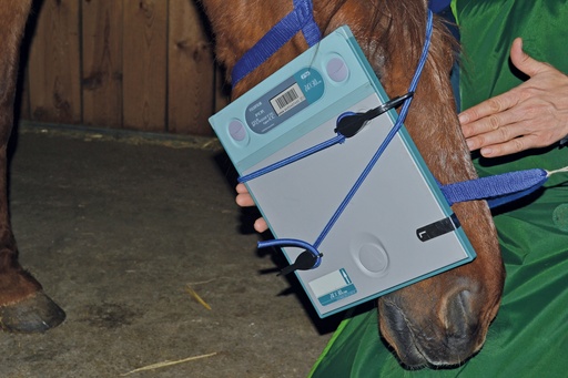 [179442] Gumis rögzítőpánt a röntgenkazetták fejhez való rögzítéséhez