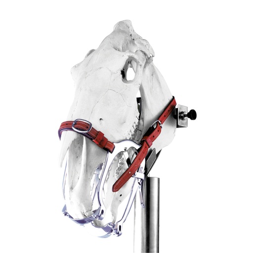 [177529] Serie 2000” típusú szájterpesz, rozsdamentes acélból, tizenöt fokozatú állíthatósággal