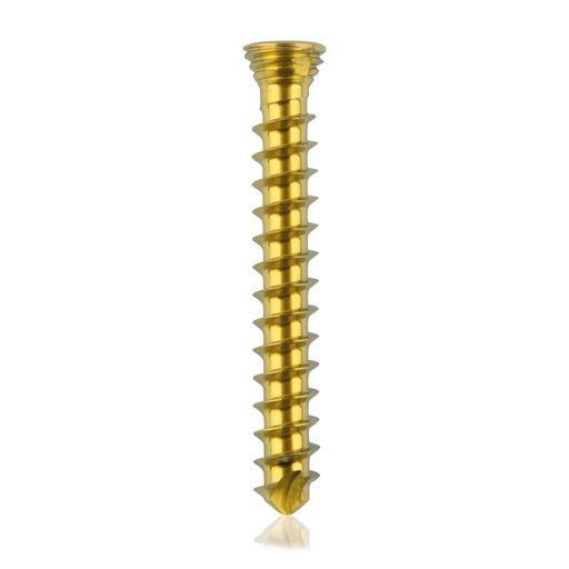 [185533] Titán zárócsavar Ø2,3 × 18 mm, szögstabil, többirányú, kék, Torx 6, önfúró, önmetsző