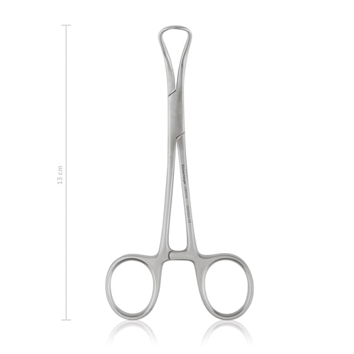 [973313] BACKHAUS kendőcsipesz, 13 cm