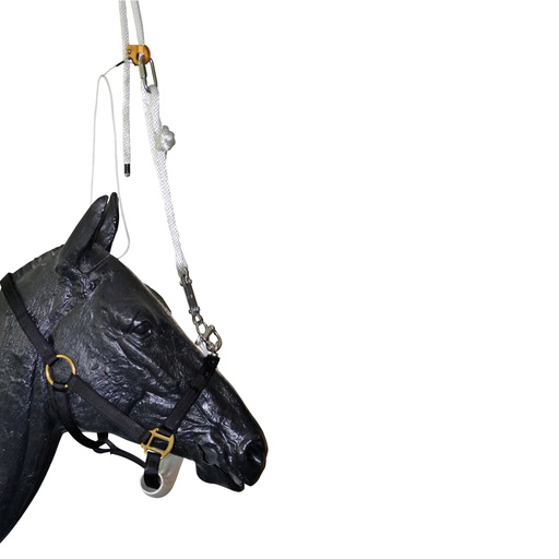 [178175] Dr. Zwick-féle kötőfék